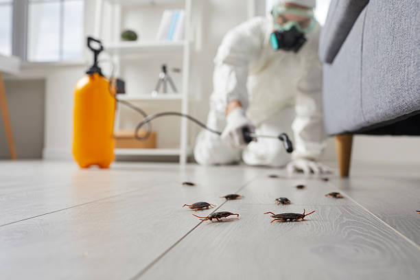 Trusted Cockroach Control service in Saxonburg, PA - Nex Pest Control