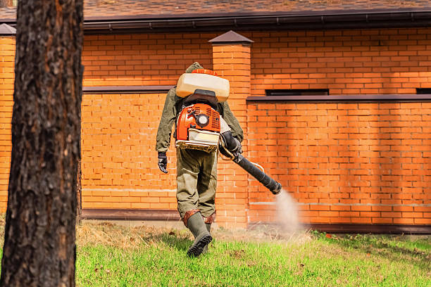 Trusted Bed Bug Control service in Saxonburg, PA - Nex Pest Control